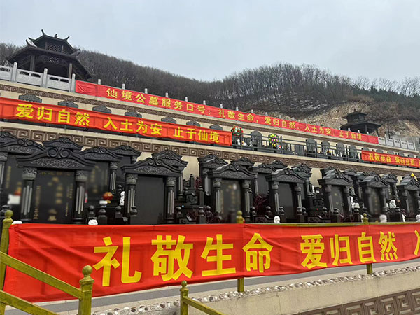 仙境环境
